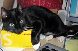 Sylvester vermissst seit 29. Oktober 2008